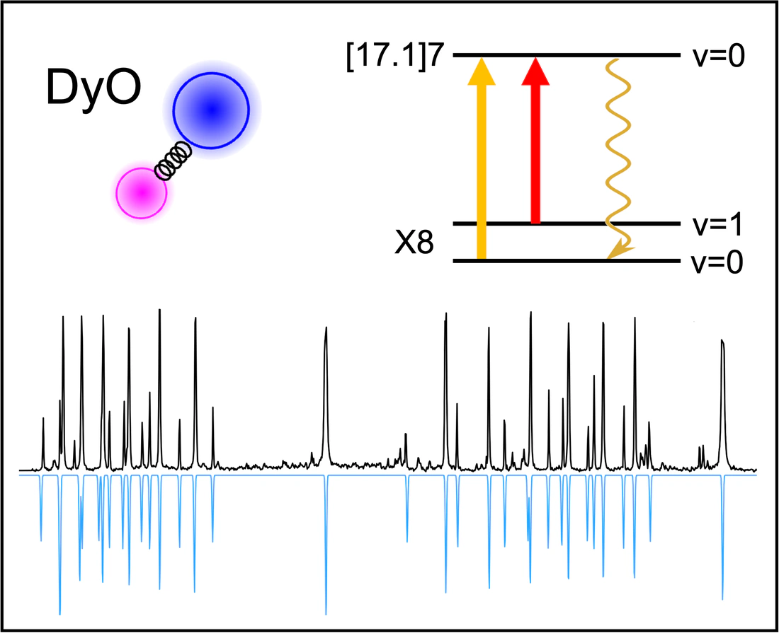 Hyperfine-Resolved Spectroscopy of Dysprosium Monoxide (DyO) for Precision Measurements of the Nuclear Schiff Moment