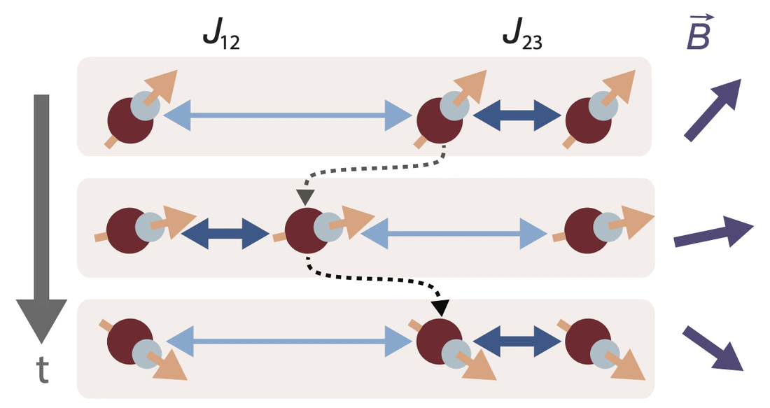 Control of Dipolar Dynamics by Geometrical Programming